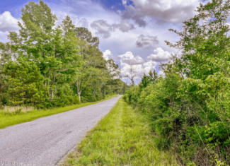 Land for Sale in Amite County, MS
