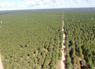 40-acre wooded parcel in the Town of Rome