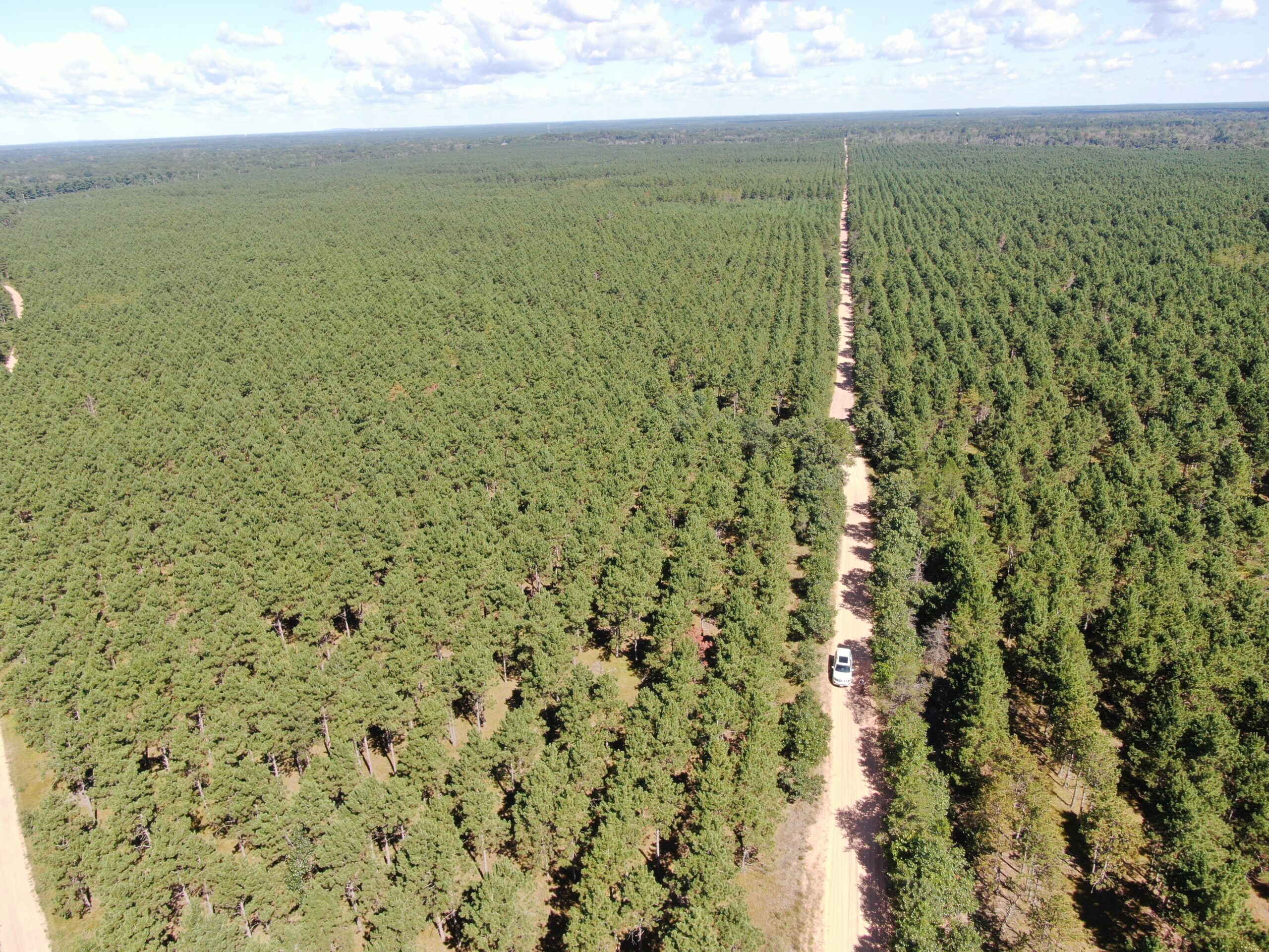 40-acre wooded parcel in the Town of Rome