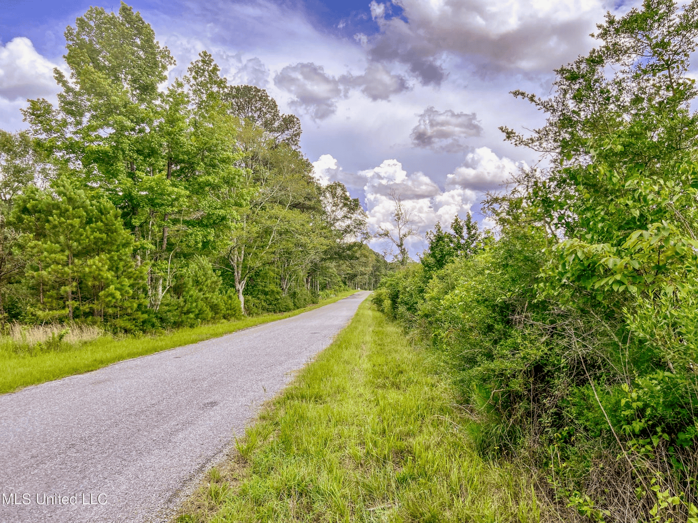 Land for Sale in Amite County, MS