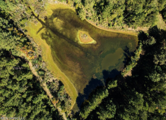 203 Acres in Smithdale MS – Turnkey Hunting Retreat