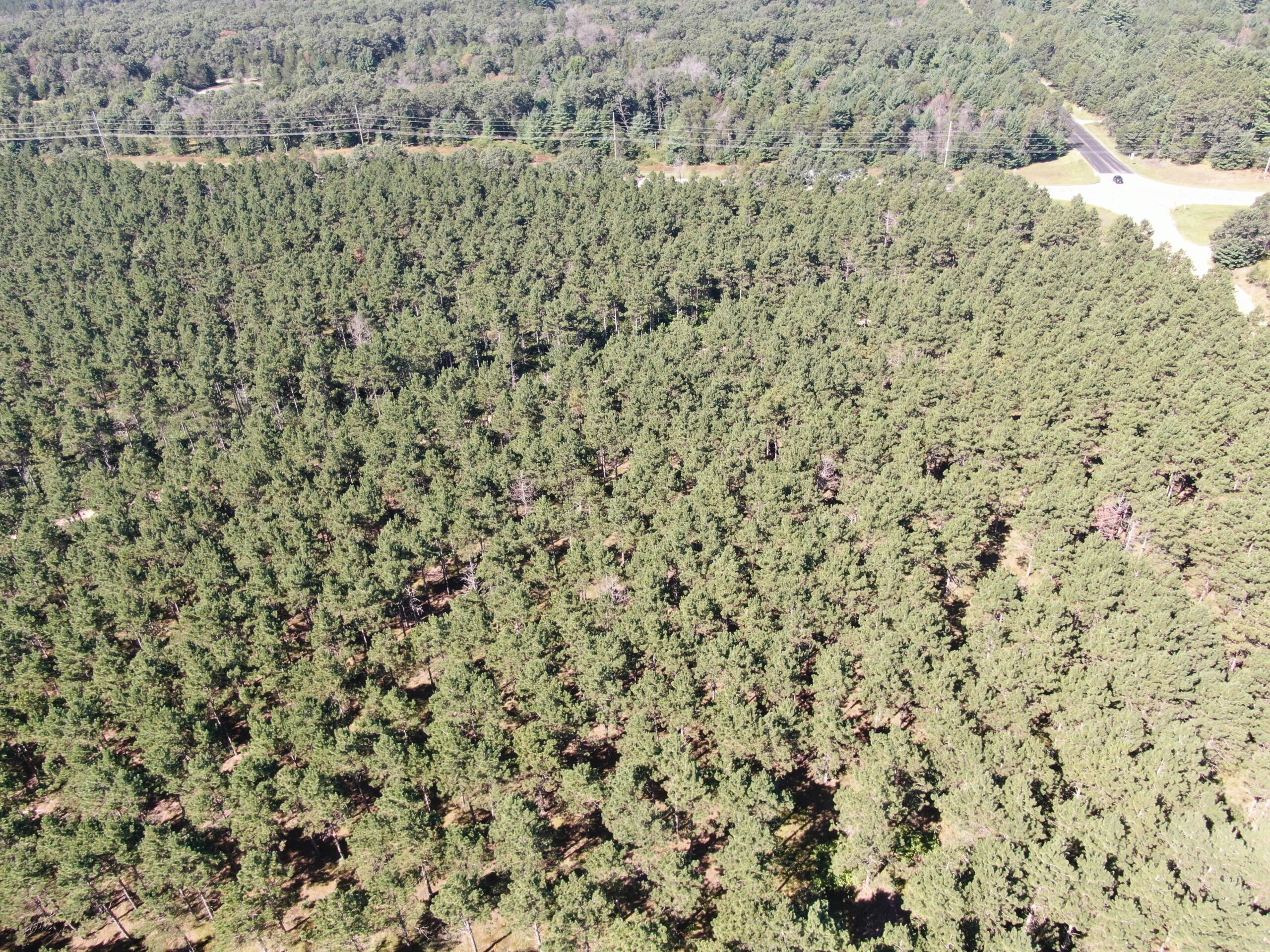 77-acre timber tract in the Town of Rome