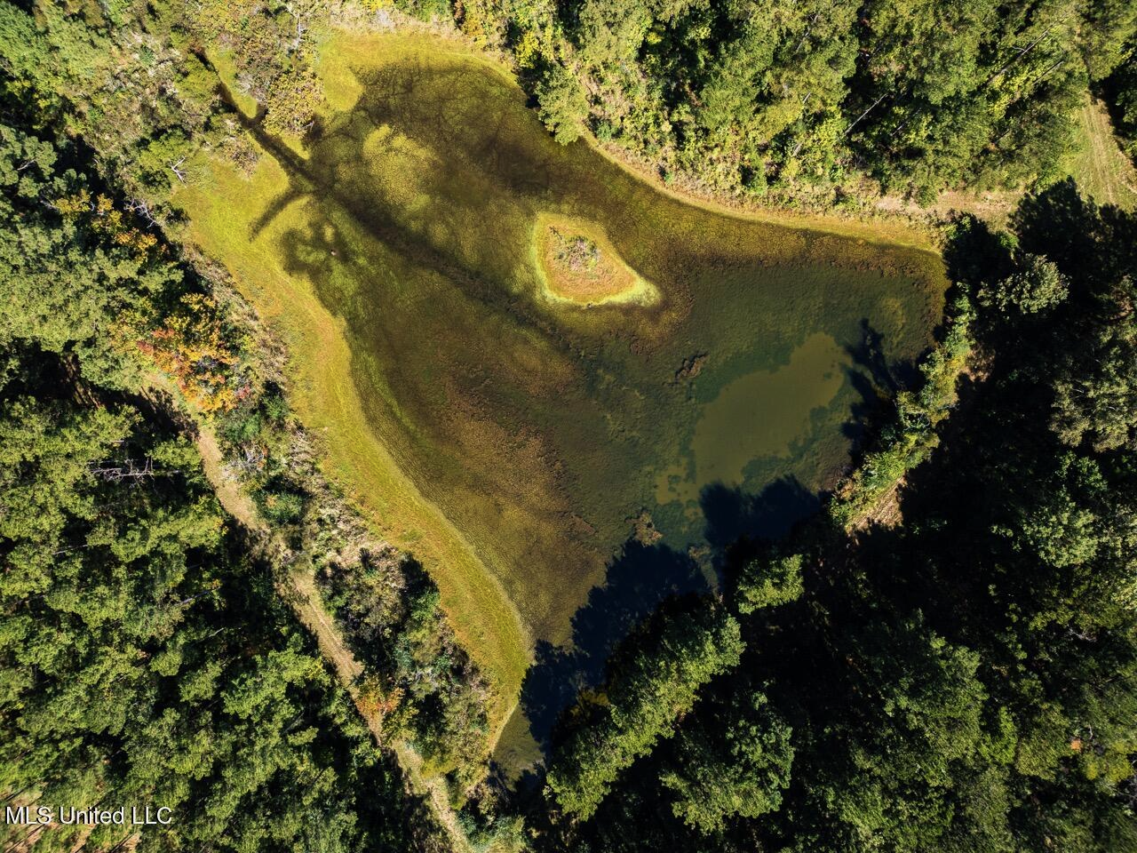203 Acres in Smithdale MS – Turnkey Hunting Retreat