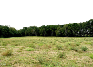 43 Acres of Beautiful Pasture with a Dream Farmhouse