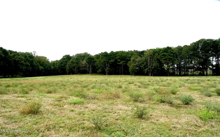 43 Acres of Beautiful Pasture with a Dream Farmhouse