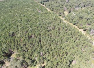 40 acres of recreational land in the Town of Monroe, Adams County