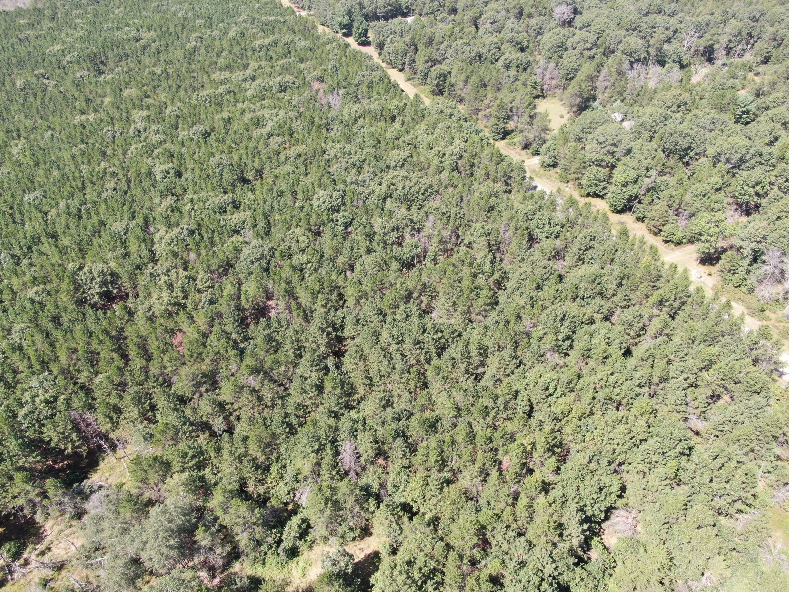 40 acres of recreational land in the Town of Monroe, Adams County