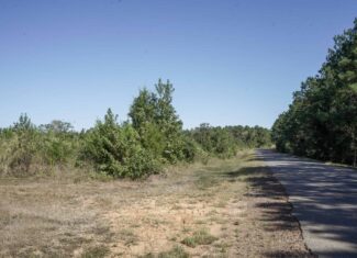 Affordable Lincoln Parish Land for Sale – Tract 4