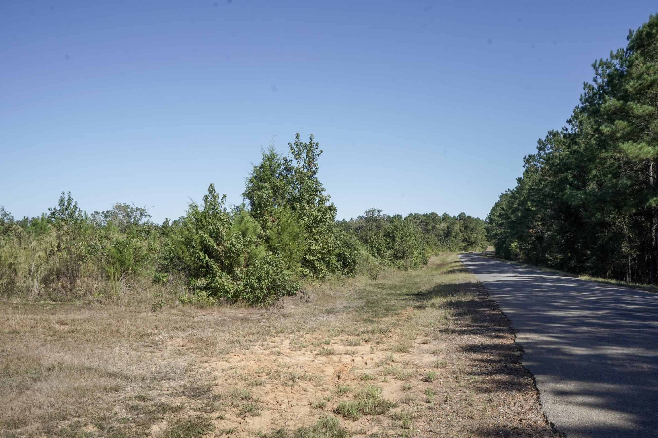 Affordable Lincoln Parish Land for Sale – Tract 4