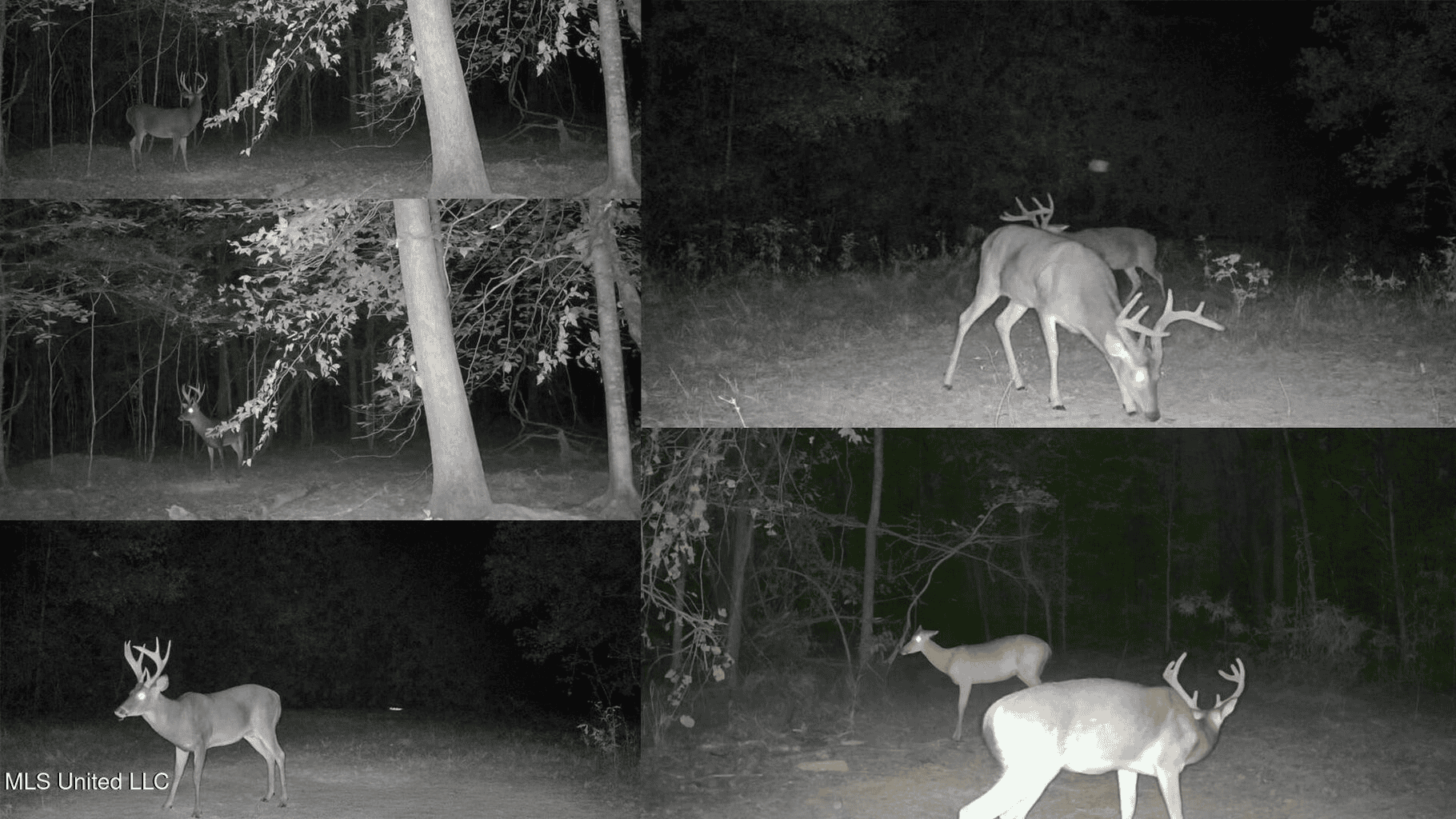 Hunting Land in Claiborne County, MS – The Sawmill 98