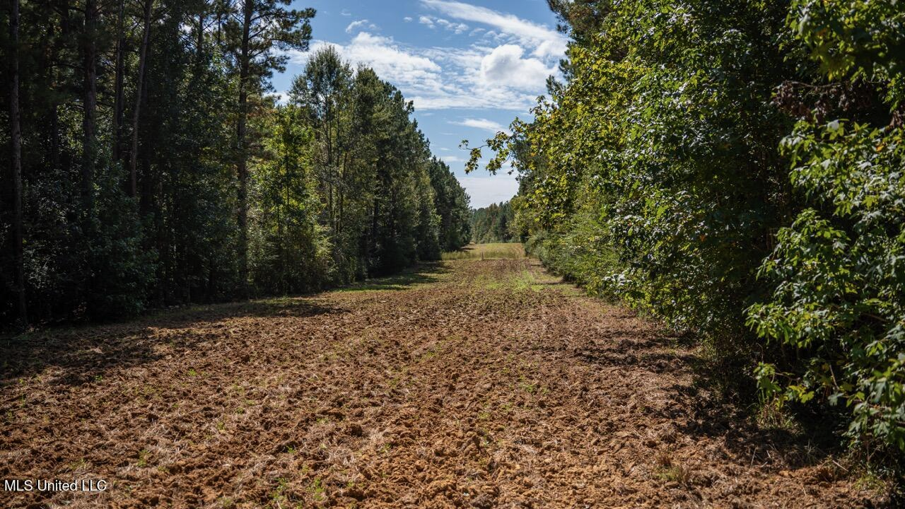 203 Acres in Smithdale MS – Turnkey Hunting Retreat