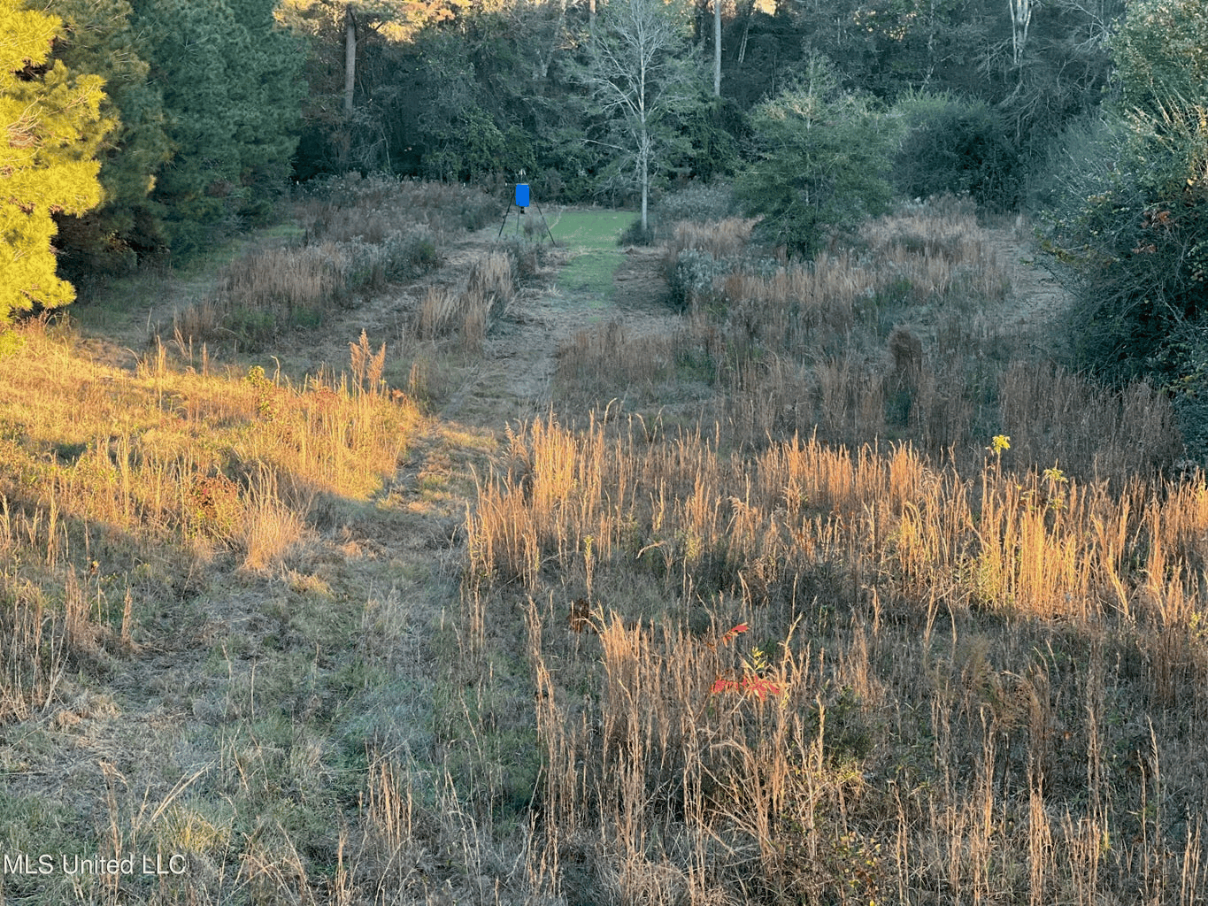 Farmhouse on Acreage with Hunting Land in Magnolia MS