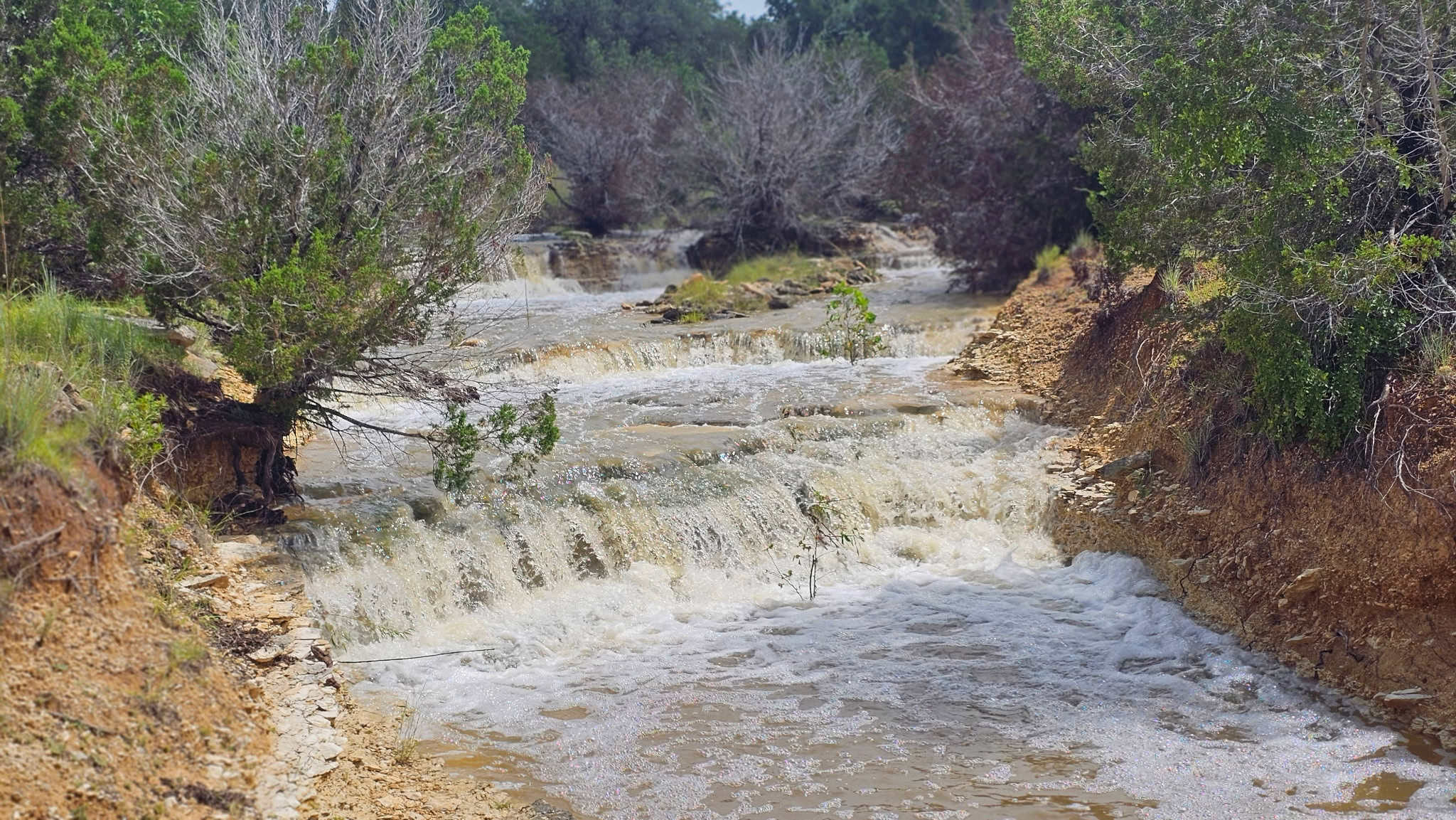 44.574 Acres of Central Texas Hunting Land for Sale