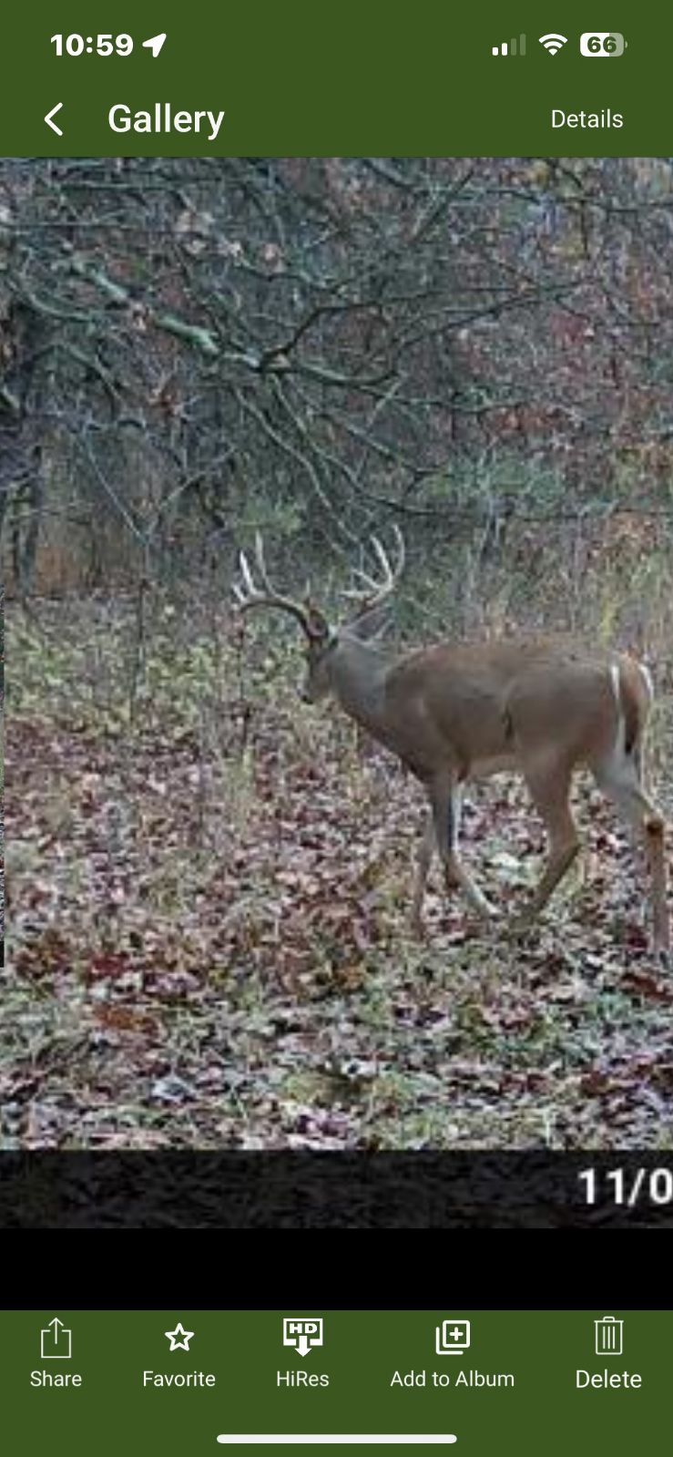 245.4 +\- acres with home in Cross Timbers MO