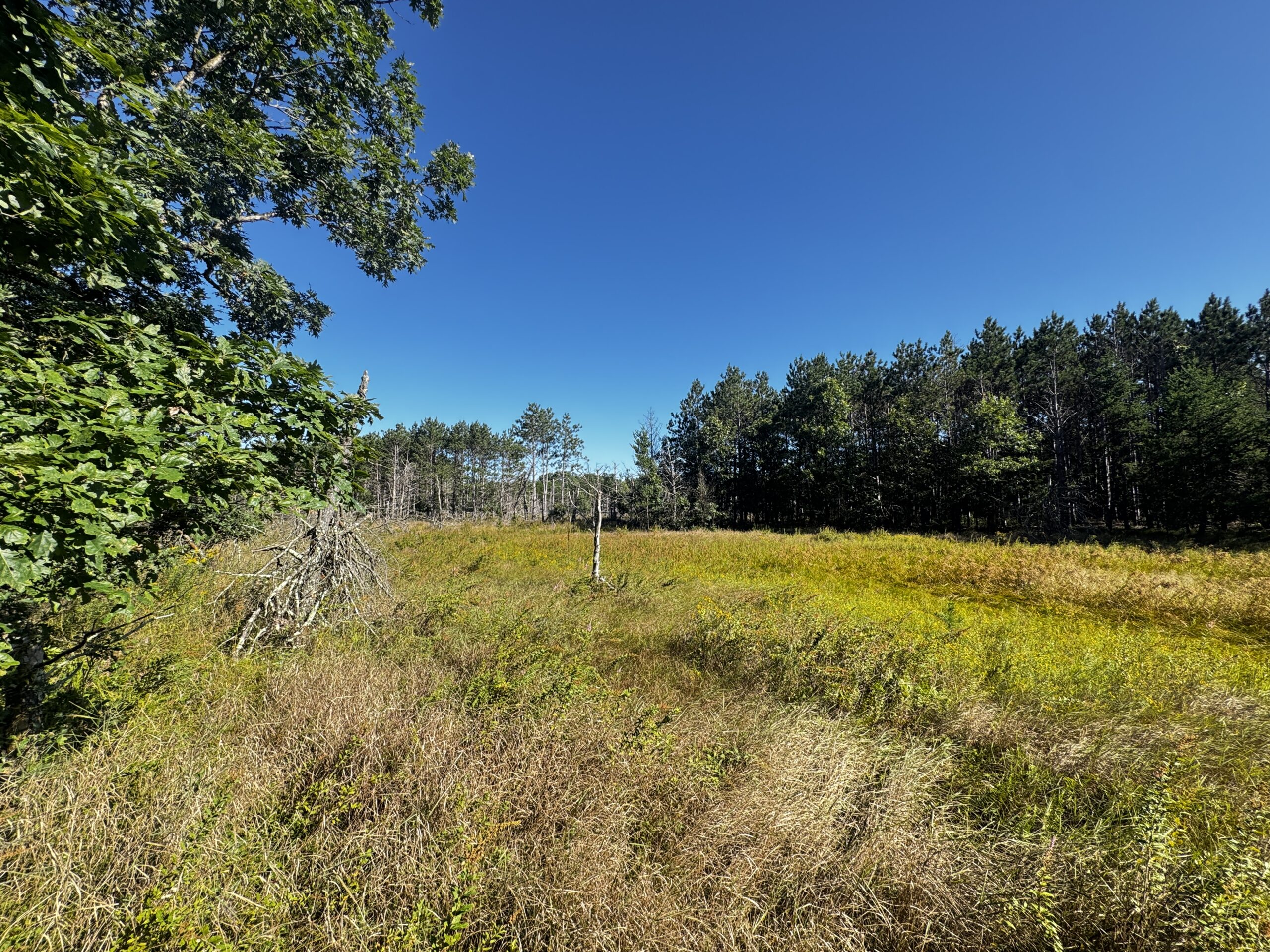 80-acre timber tract in Adams County