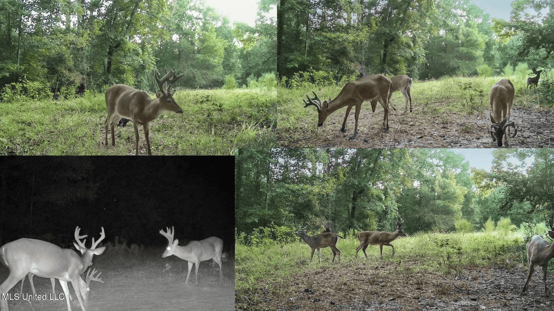 Hunting Land in Claiborne County, MS – The Sawmill 98