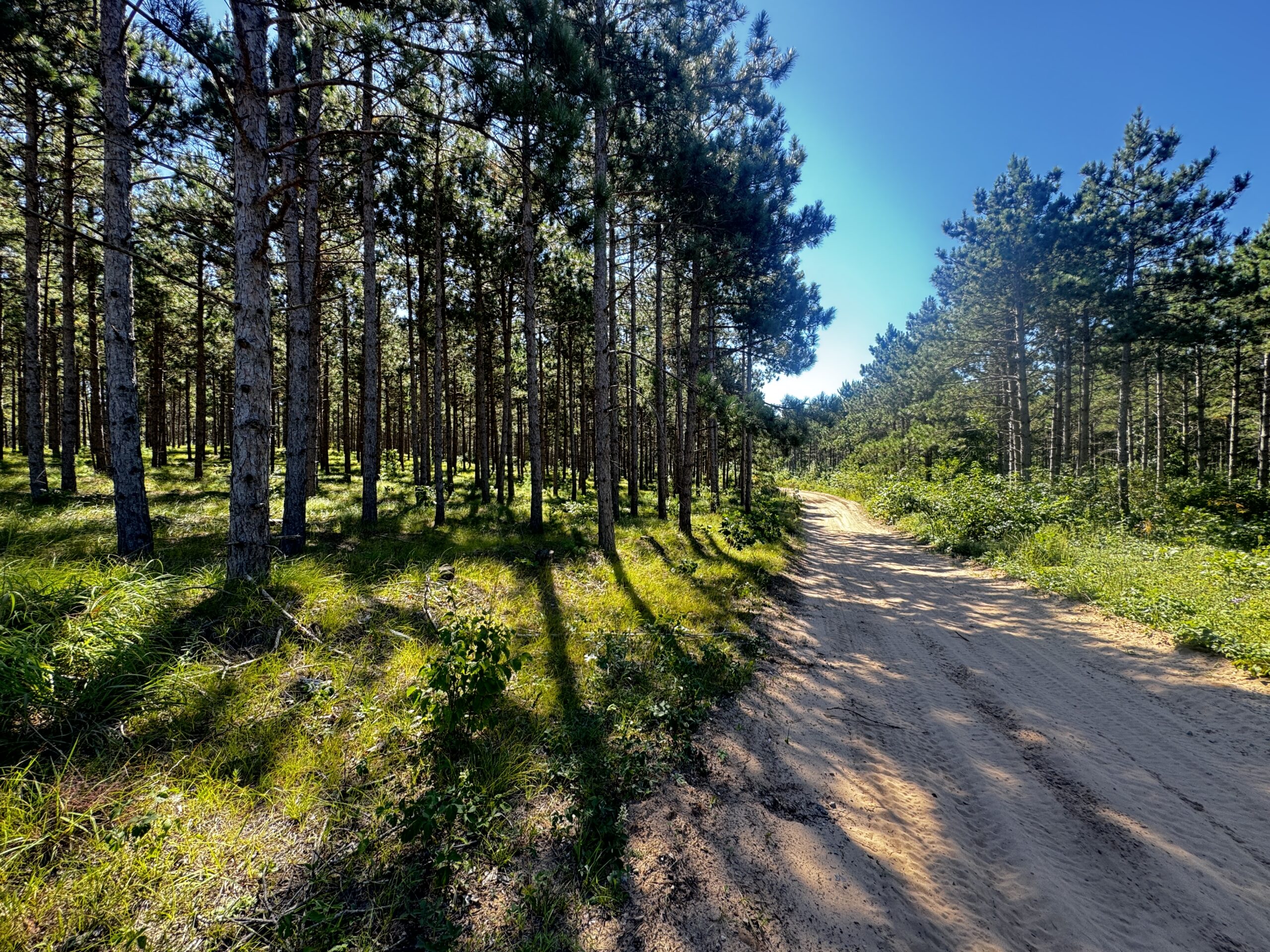 77-acre timber tract in the Town of Rome