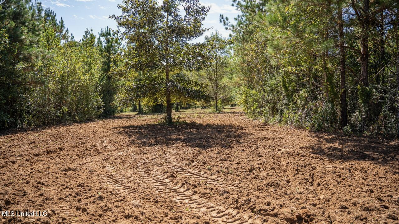 203 Acres in Smithdale MS – Turnkey Hunting Retreat