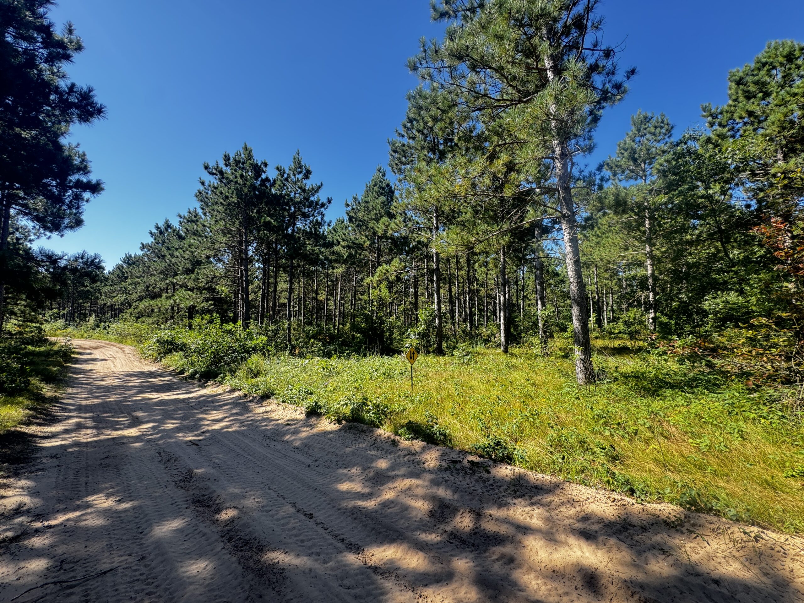 77-acre timber tract in the Town of Rome