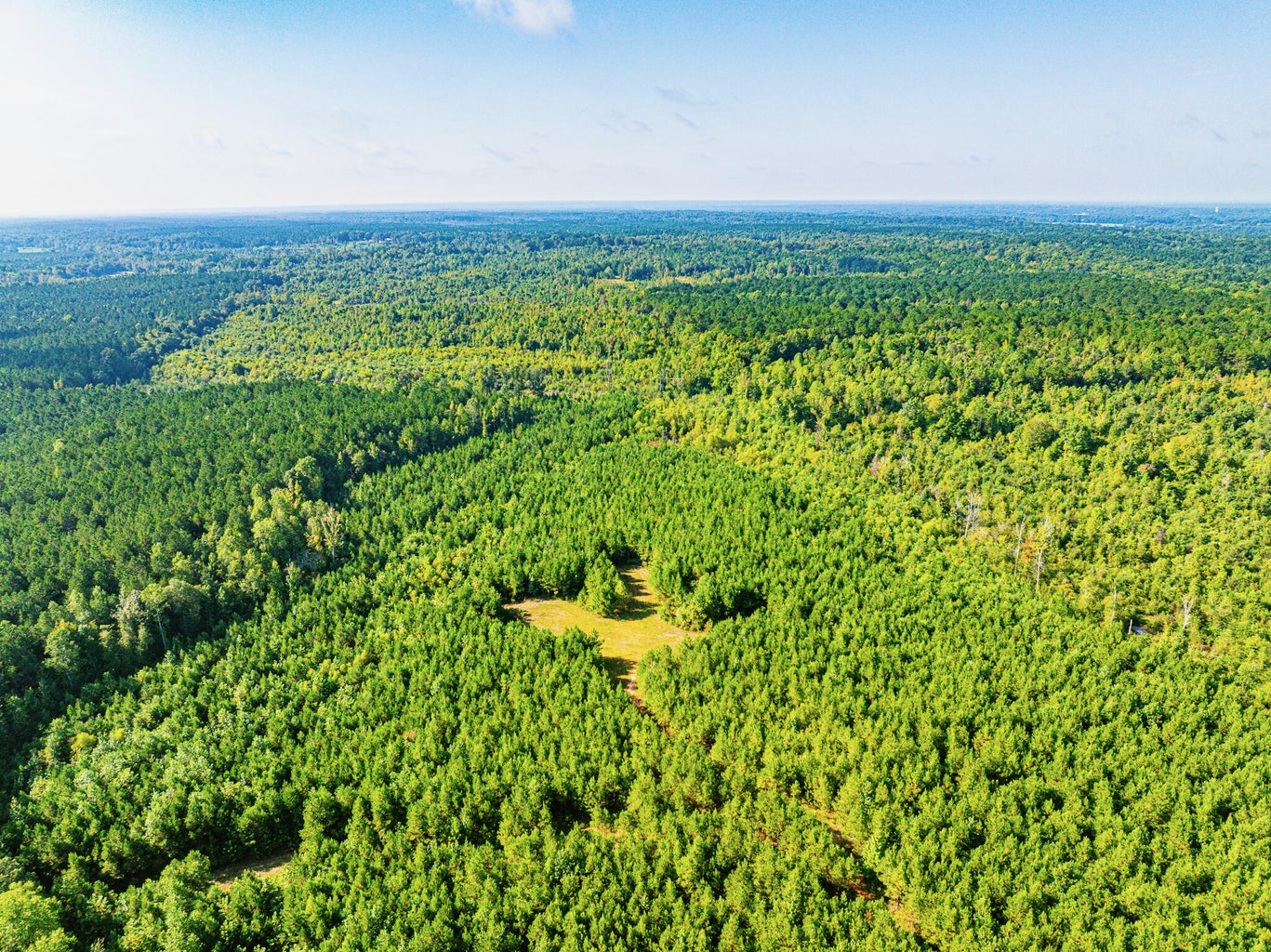 701 Acre Timber & Hunting Land Prentiss Co MS