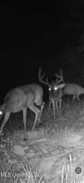 Yazoo River Hunting Tract 78.16 Acres