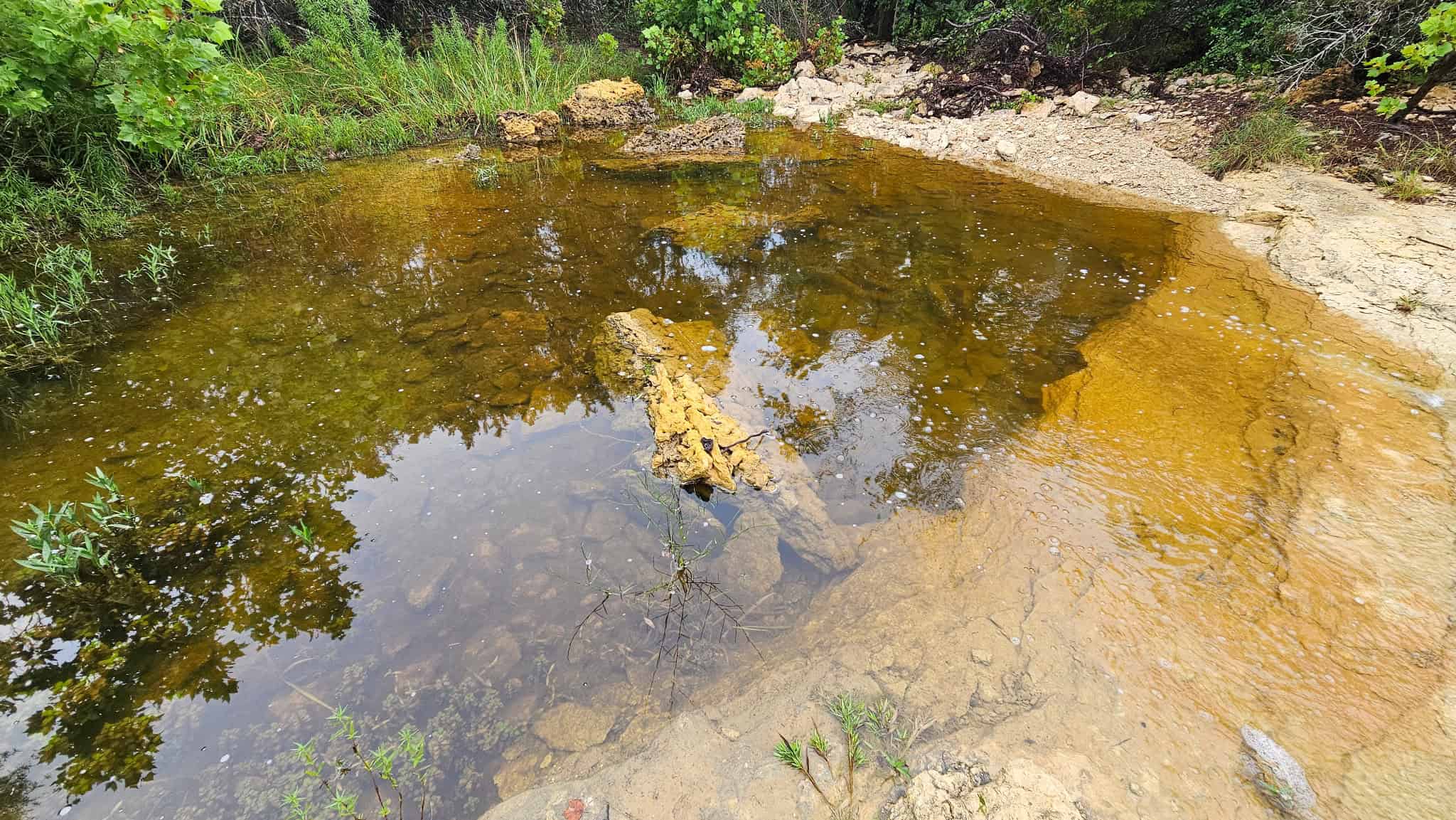 44.574 Acres of Central Texas Hunting Land for Sale