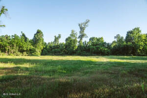 Southside Land Share for Sale in Jefferson County, MS