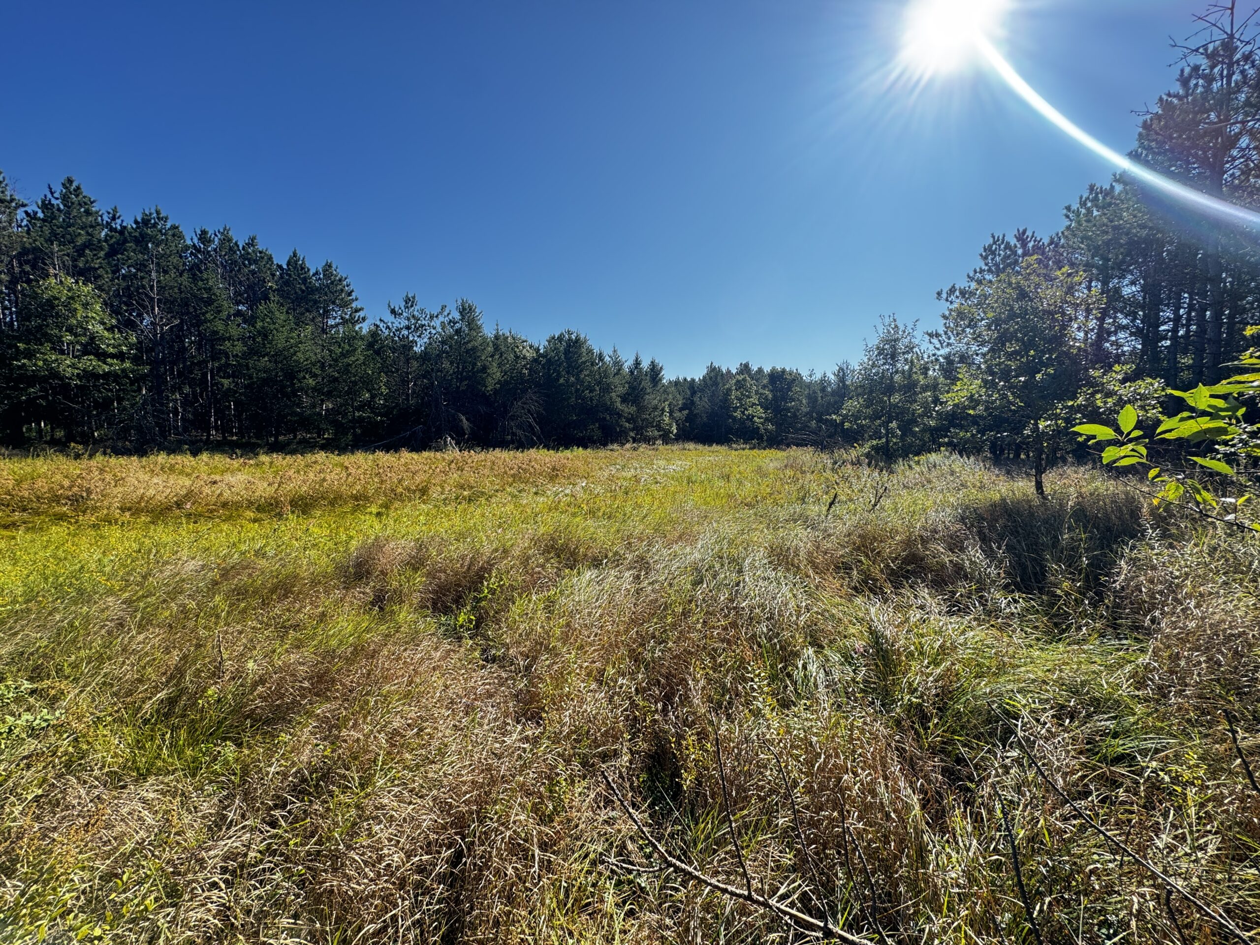 80-acre timber tract in Adams County