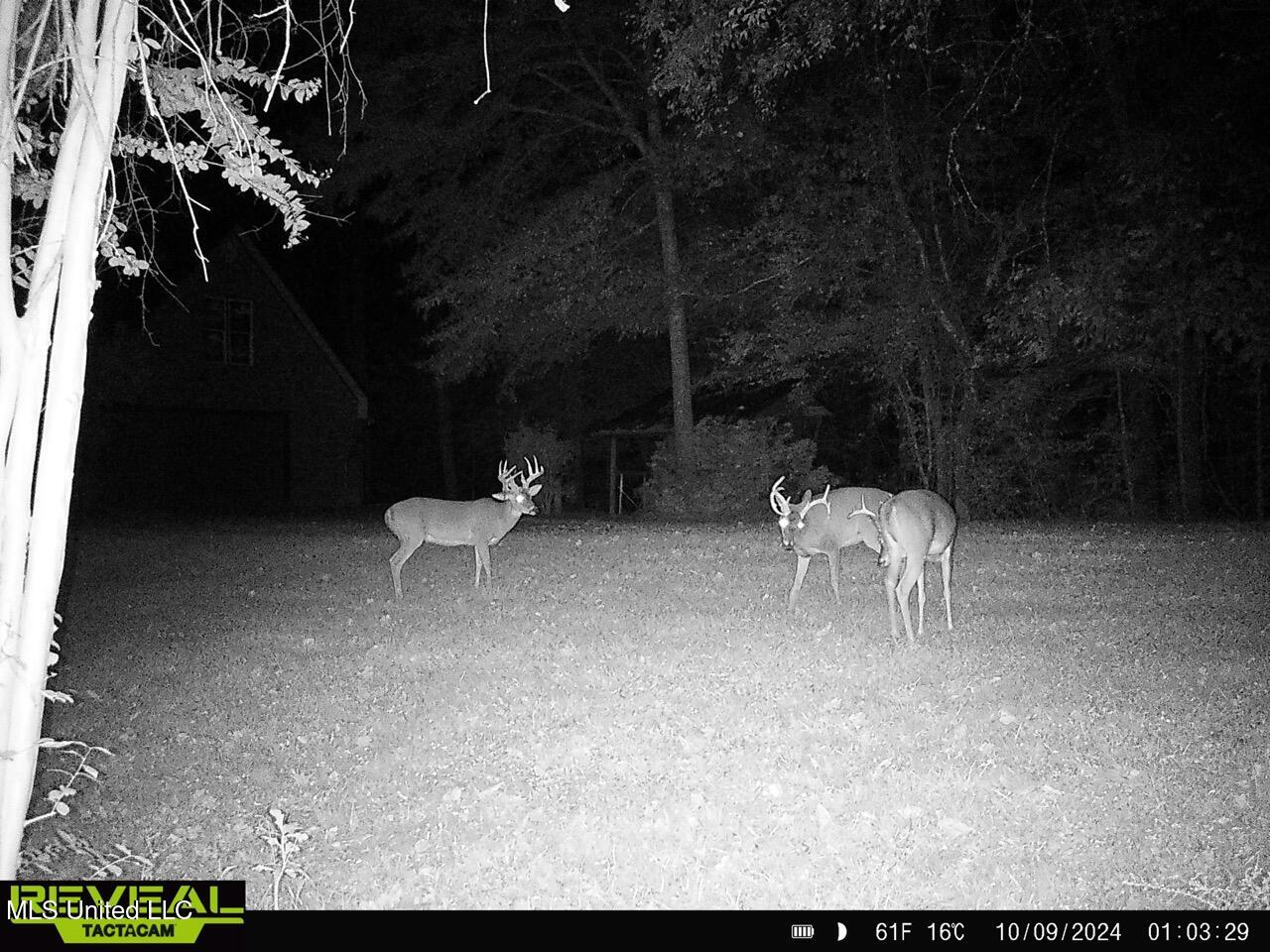 52 Ogden Road Home in Kingston Community of Natchez, MS