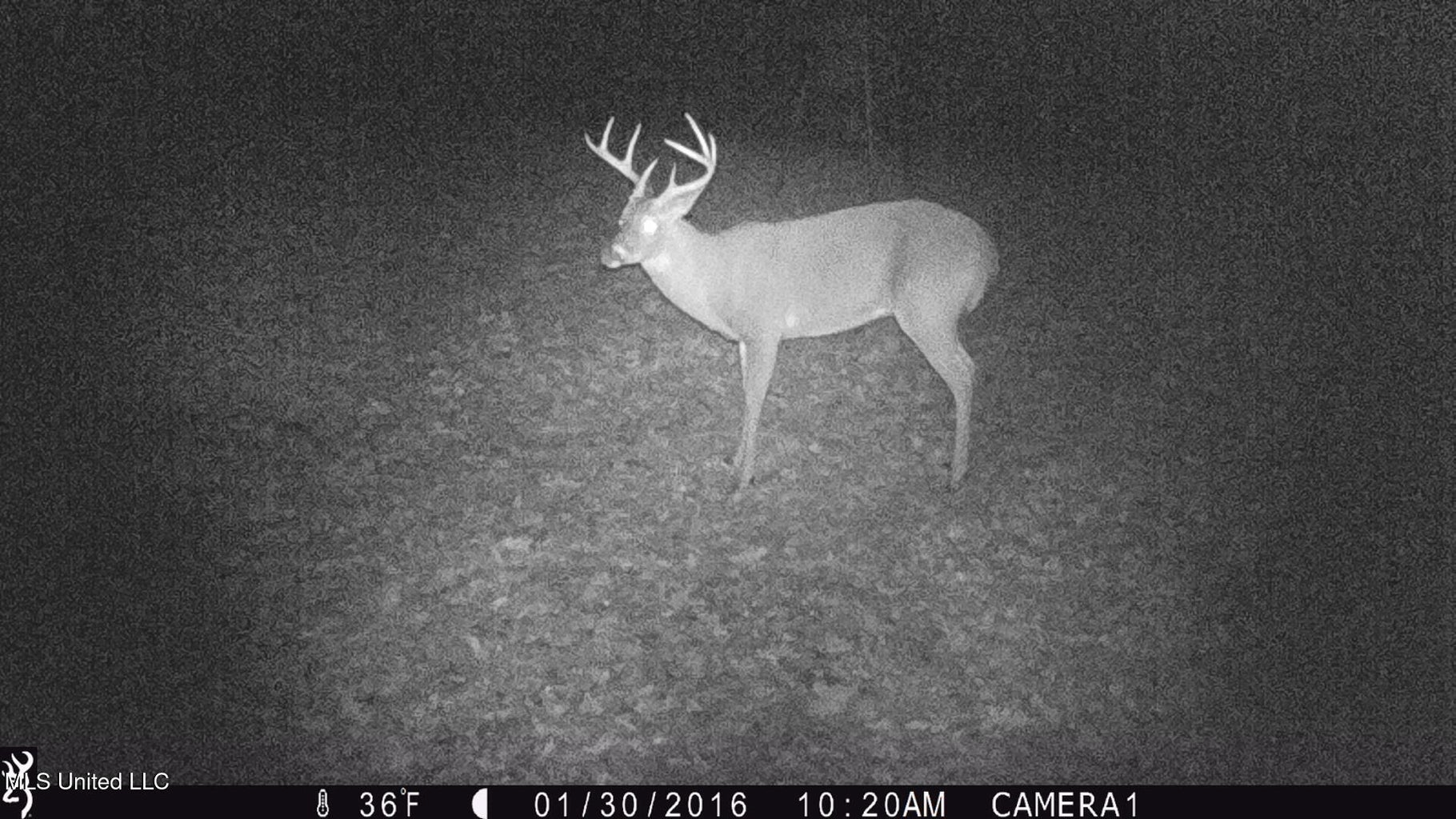 203 Acres in Smithdale MS – Turnkey Hunting Retreat