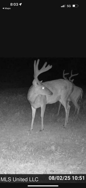 Yazoo River Hunting Tract 78.16 Acres