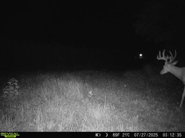 28± acre Sauk County Gem of a Property