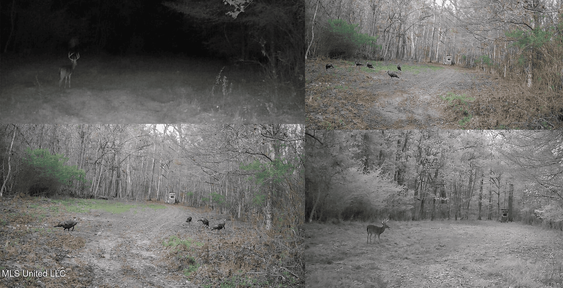Hunting Land in Claiborne County, MS – The Sawmill 98