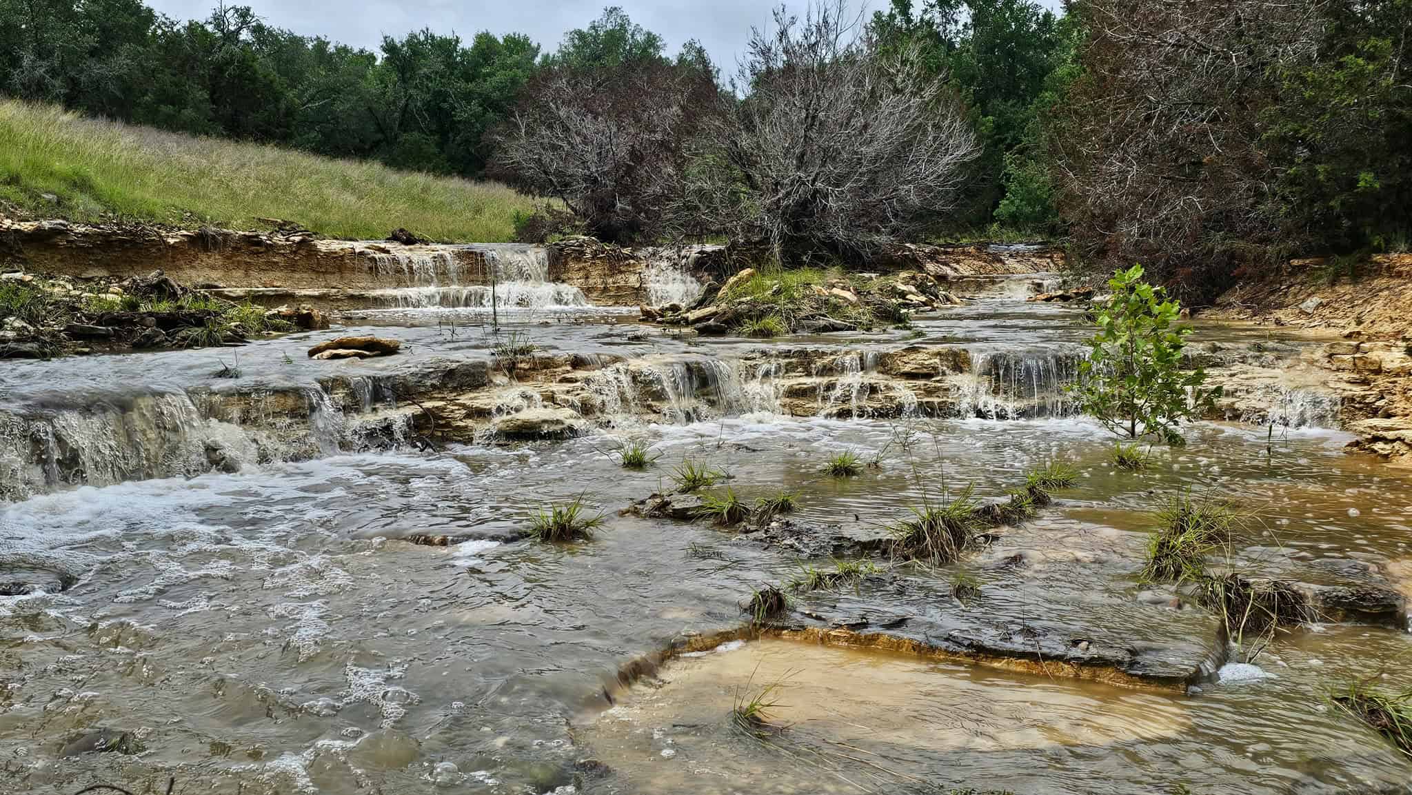 44.574 Acres of Central Texas Hunting Land for Sale