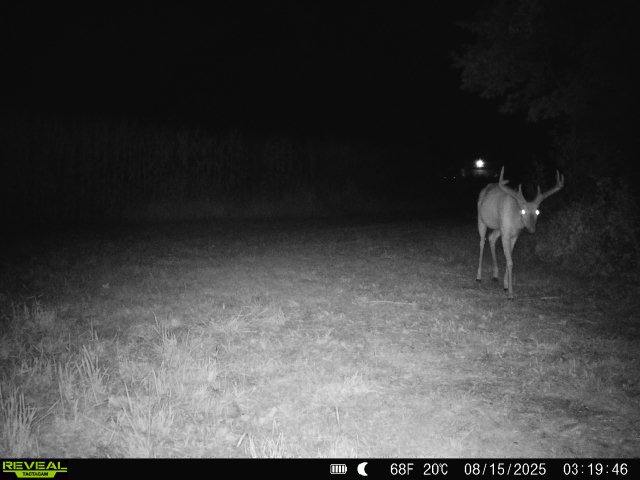 20± acre Sauk County Gem of a Property