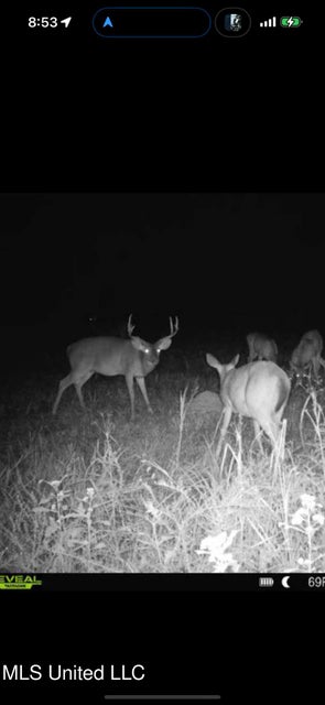 Yazoo River Hunting Tract 78.16 Acres