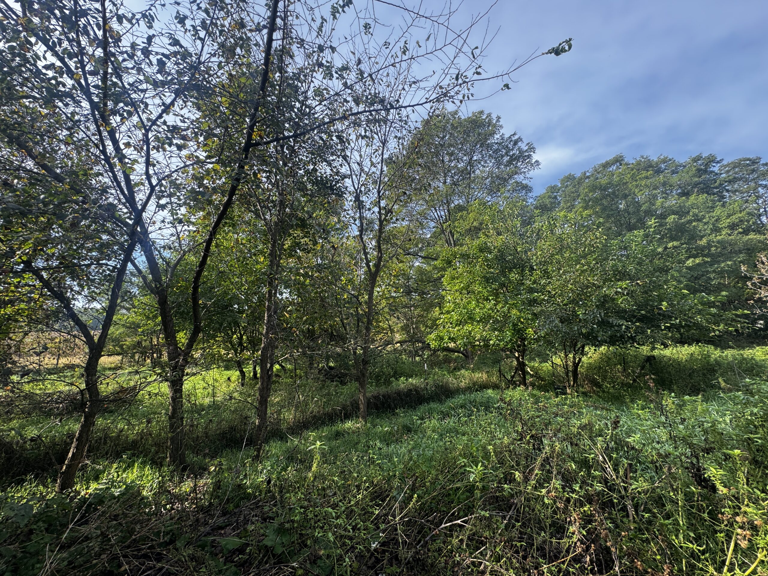 Marquette County 3-Bedroom Ranch on 45+/- Acres