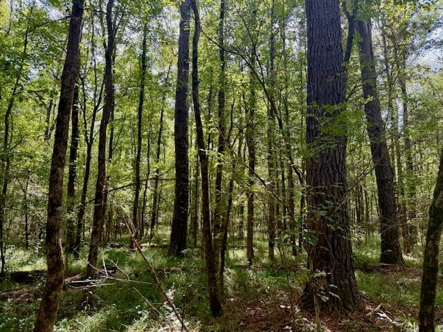 Mississippi Land For Sale With A Creek