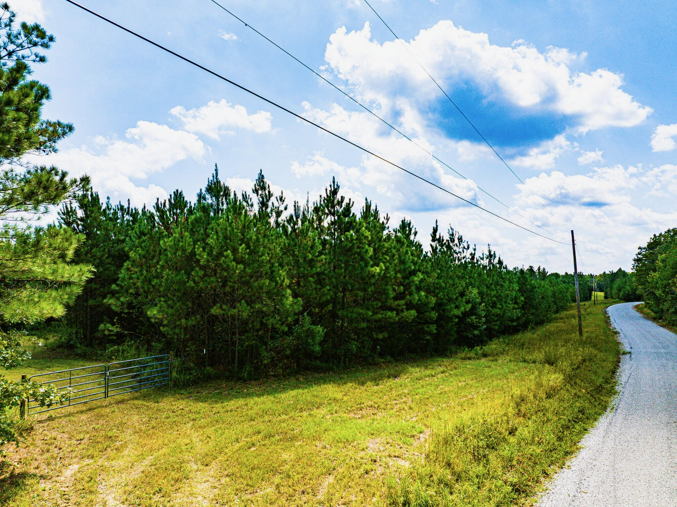 701 Acre Timber & Hunting Land Prentiss Co MS