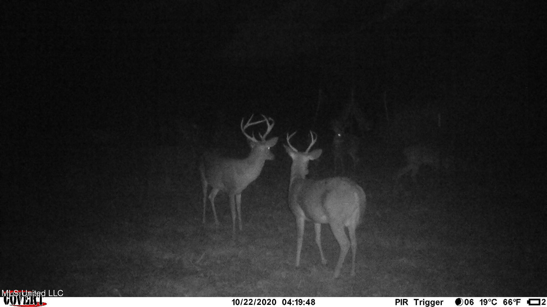 203 Acres in Smithdale MS – Turnkey Hunting Retreat