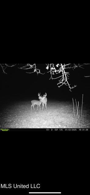 Yazoo River Hunting Tract 78.16 Acres