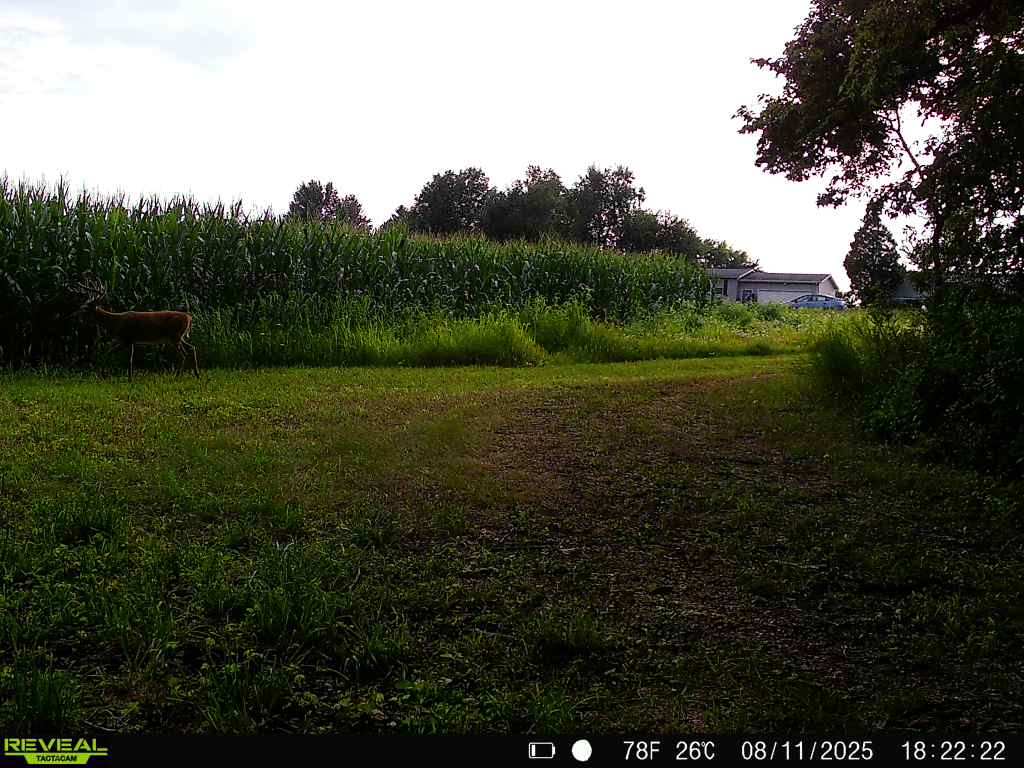 28± acre Sauk County Gem of a Property