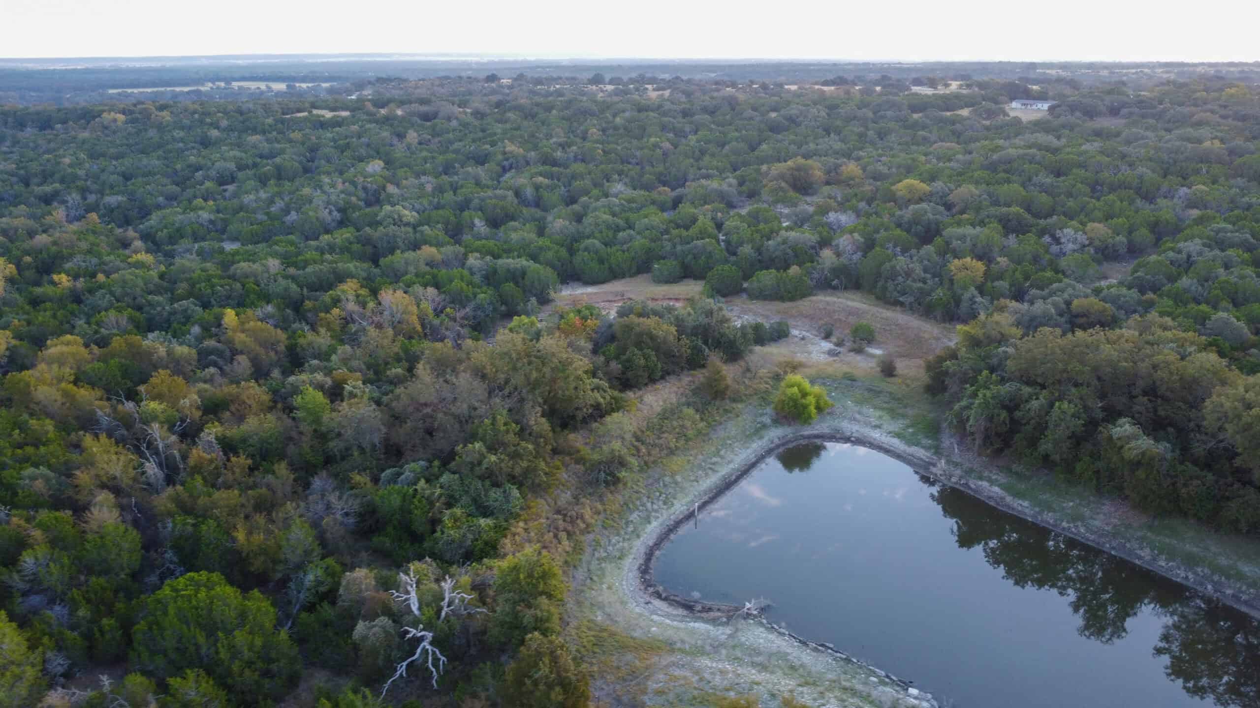 44.574 Acres of Central Texas Hunting Land for Sale