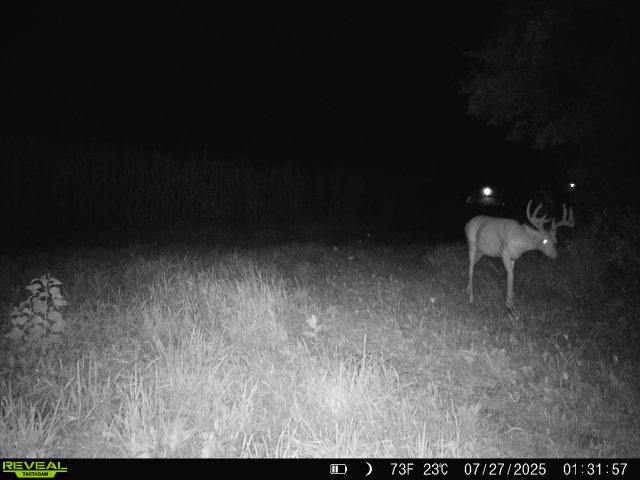20± acre Sauk County Gem of a Property