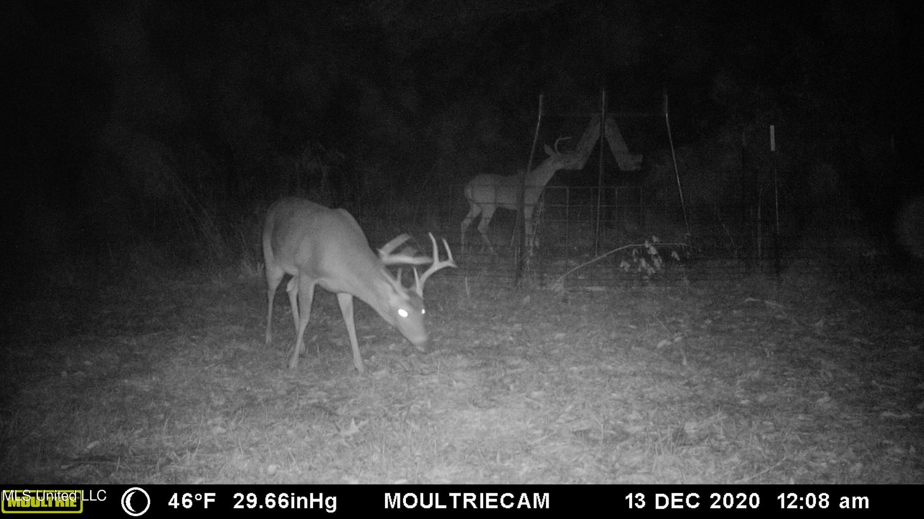 203 Acres in Smithdale MS – Turnkey Hunting Retreat