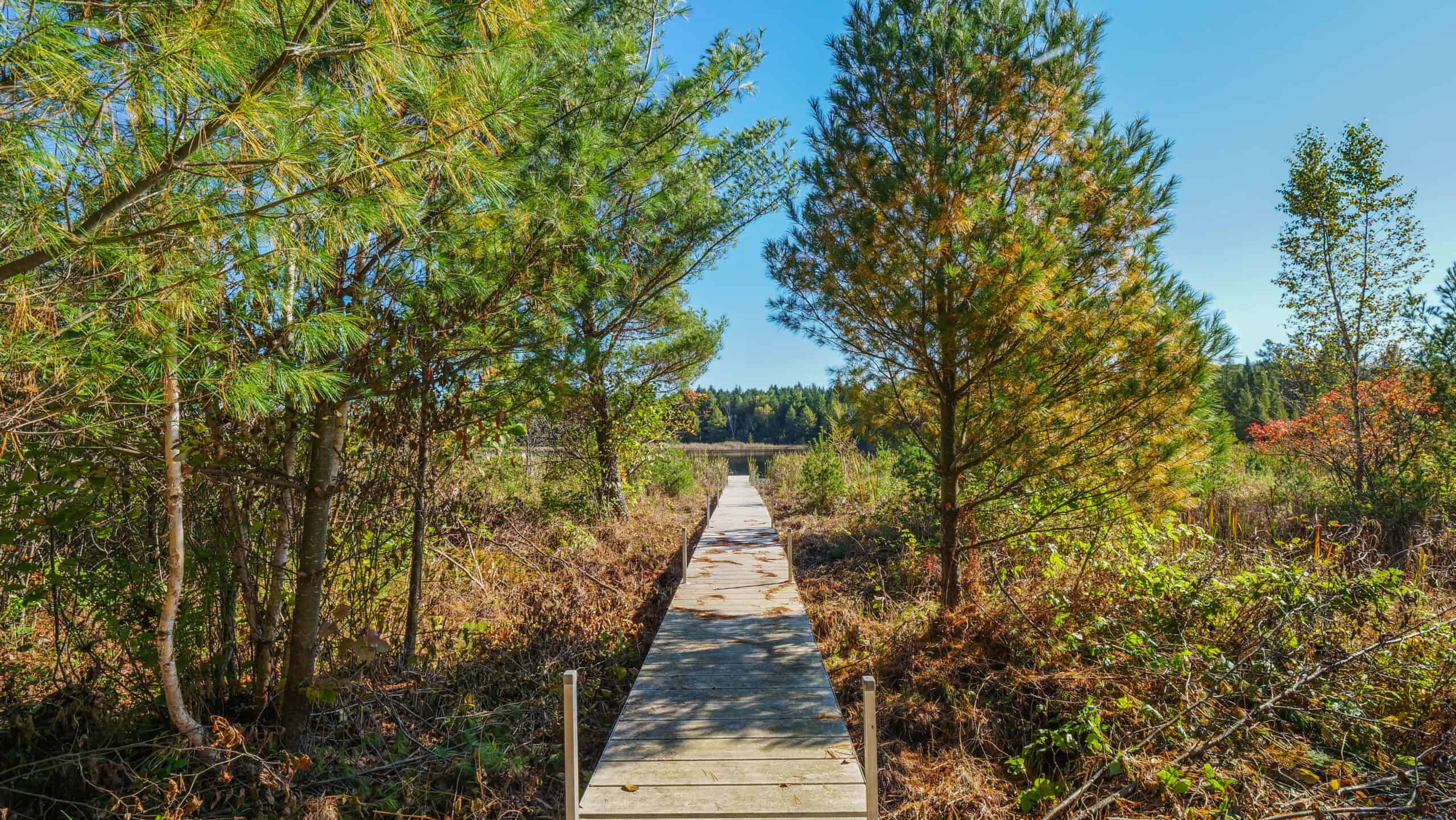 An outdoor paradise in Waupaca County WI