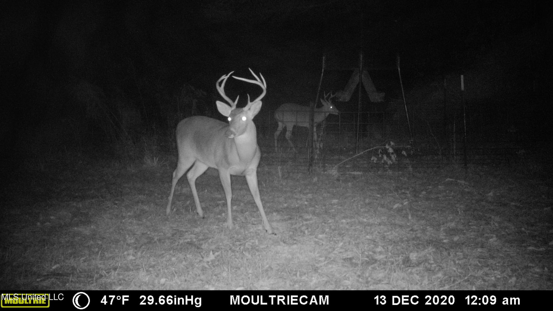 203 Acres in Smithdale MS – Turnkey Hunting Retreat
