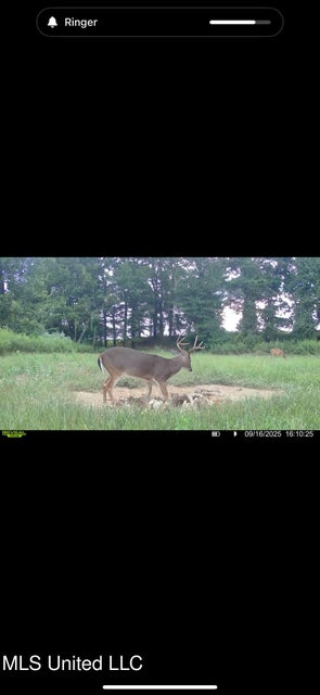 Yazoo River Hunting Tract 78.16 Acres