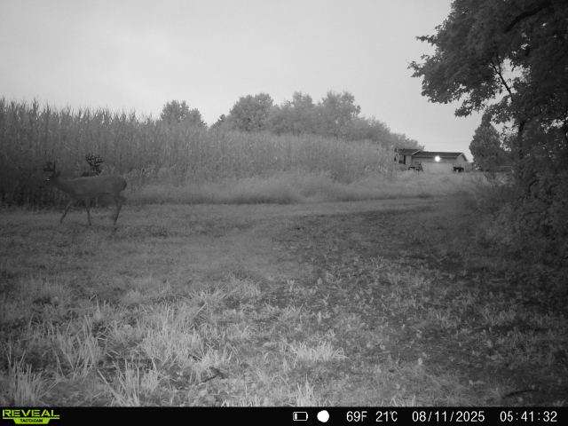 28± acre Sauk County Gem of a Property