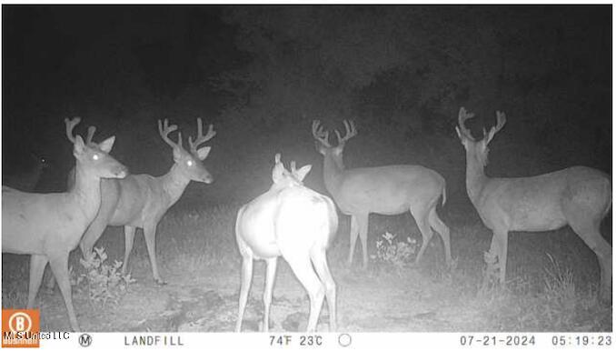 Yazoo River Hunting Tract 78.16 Acres